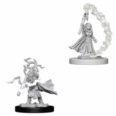 gnome - female - sorcerer 73345